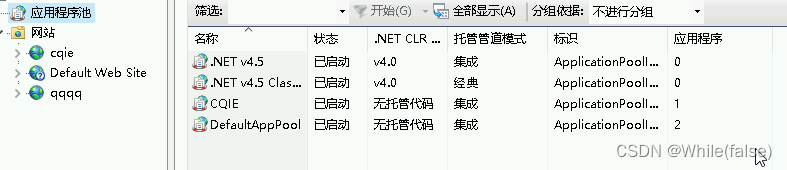 .NET WebApi 发布到服务器(windows)并开放端口插图(9)