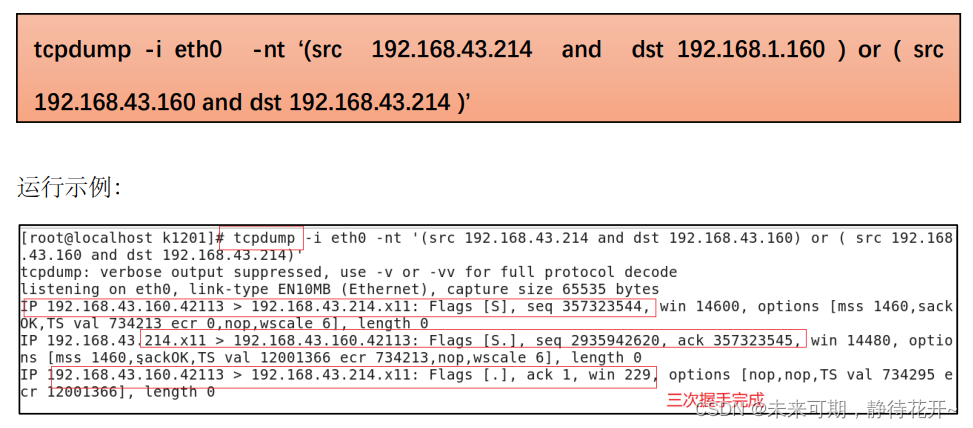 Linux基础 （十五）：TCP 协议特点和UDP协议插图