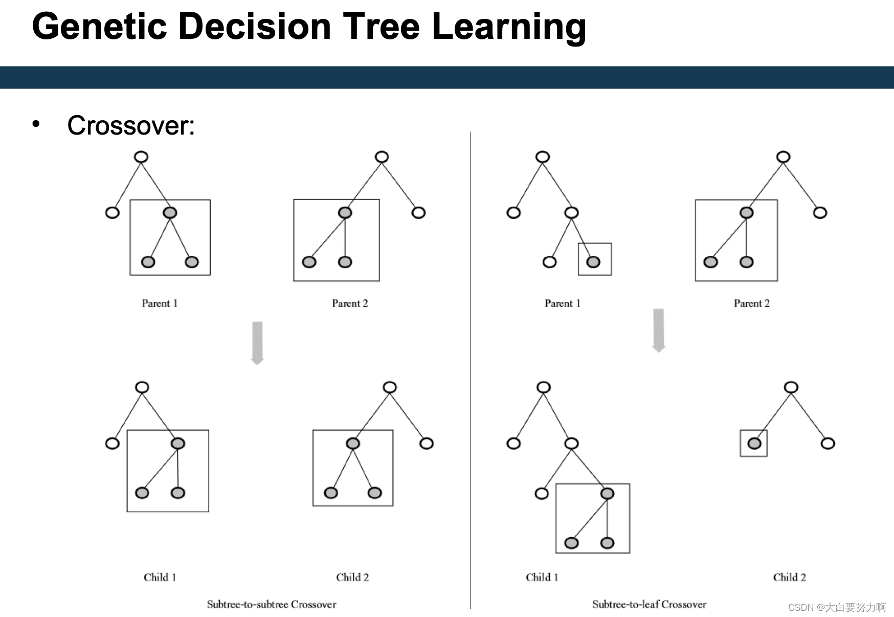 Data Mining2 复习笔记6 – Optimization & Hyperparameter Tuning插图(12)