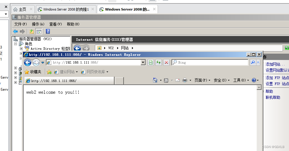 Windows Server 2008添加Web服务器（IIS）、WebDAV服务、网络负载均衡插图(13)