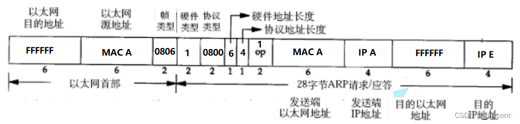 十.数据链路层——MAC/ARP插图(13)