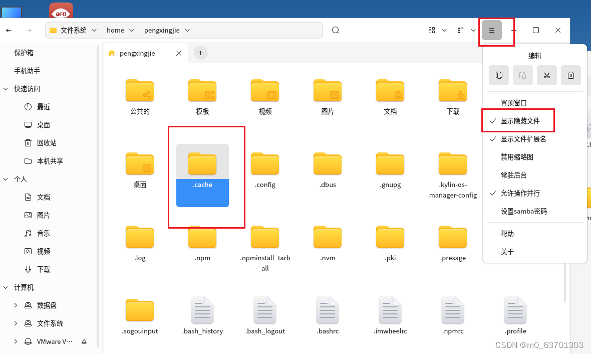 银河麒麟v10安装前端环境（Node、vue、Electron+vite）插图(6)