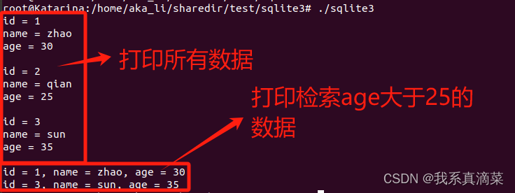 Linux应用 sqlite3编程插图(6)