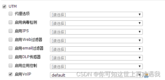 锐捷防火墙（WEB）——高级功能——应用层网关ALG插图(4)