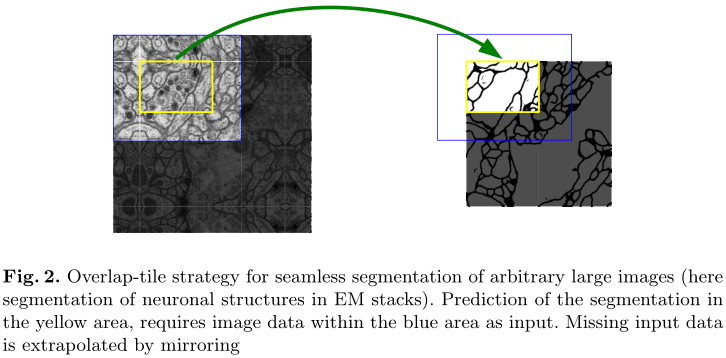 U-Net: Convolutional Networks for Biomedical Image Segmentation–论文笔记插图(1)