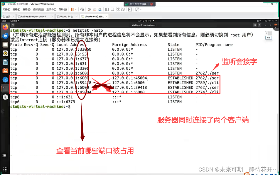 Linux基础 （十五）：TCP 协议特点和UDP协议插图(7)