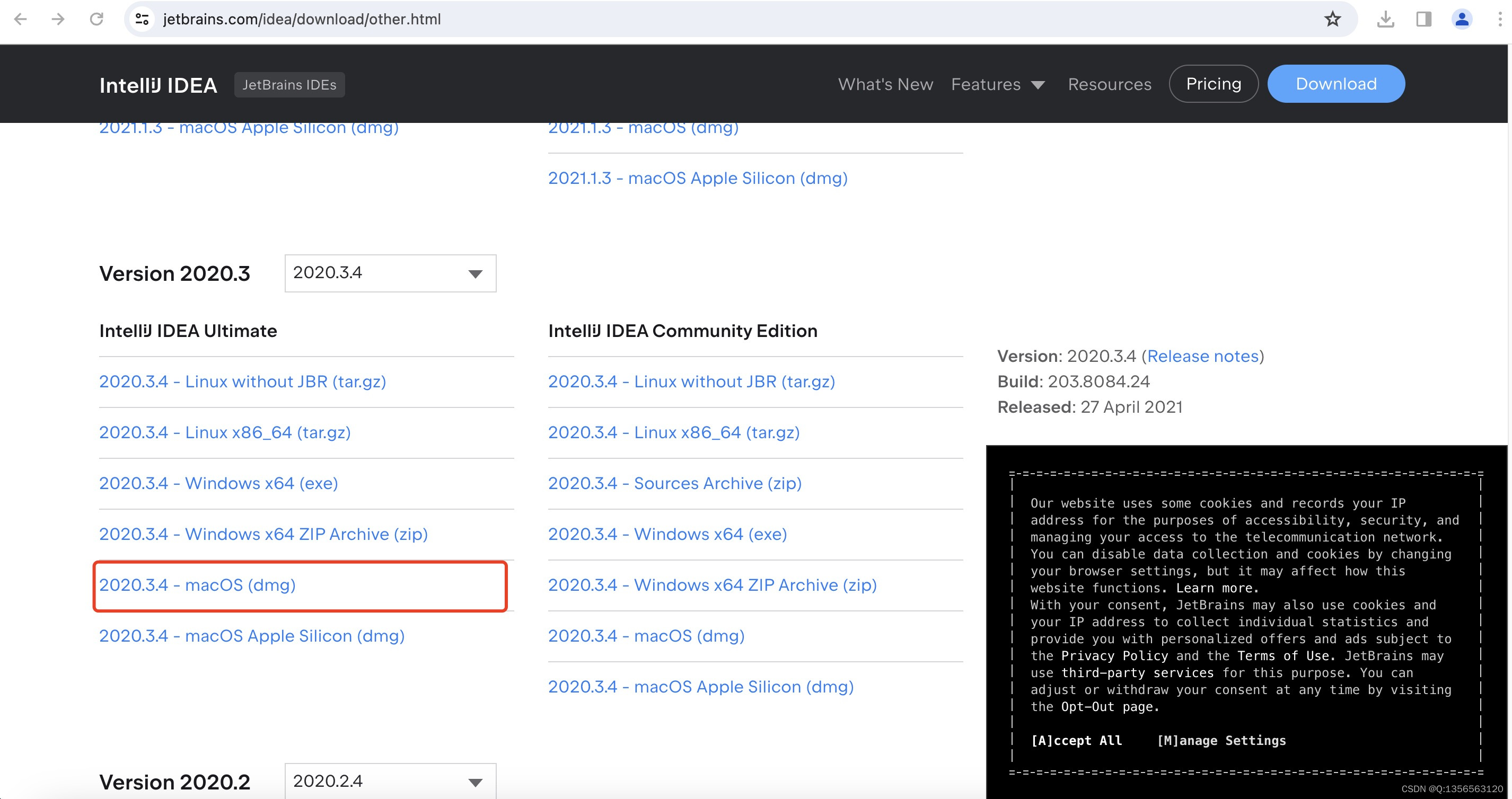 IDEA、webStorm 2020版破解教程（使用于Mac、windows）插图