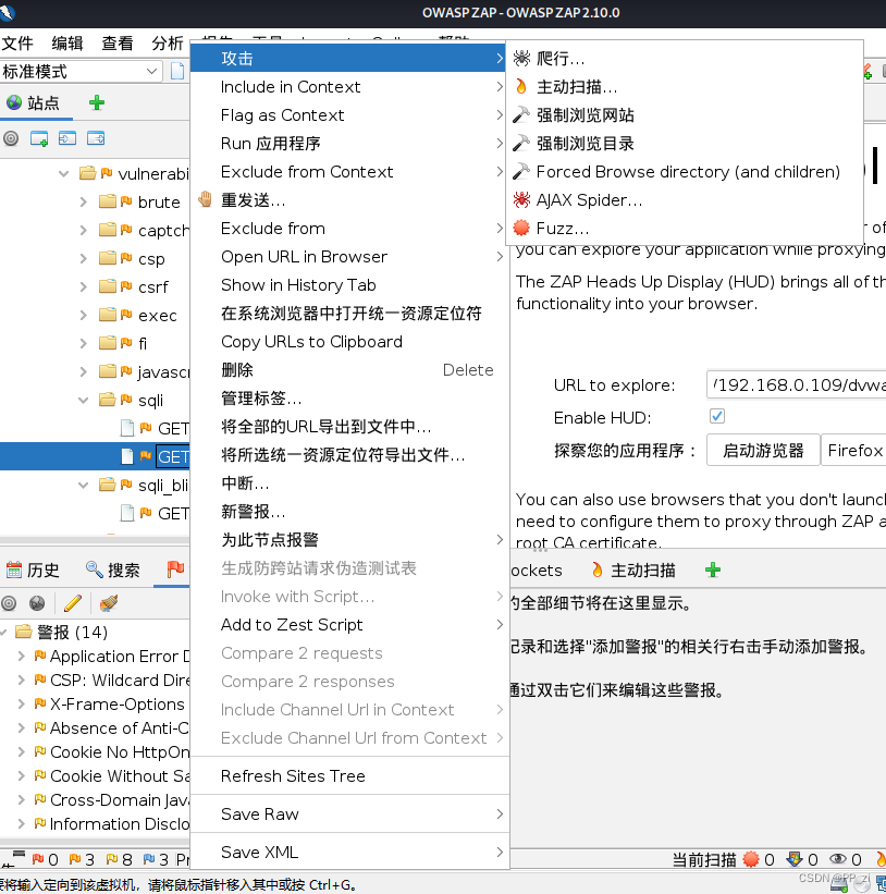 Web漏扫工具OWASP ZAP安装与使用（非常详细）从零基础入门到精通，看完这一篇就够了。插图(12)