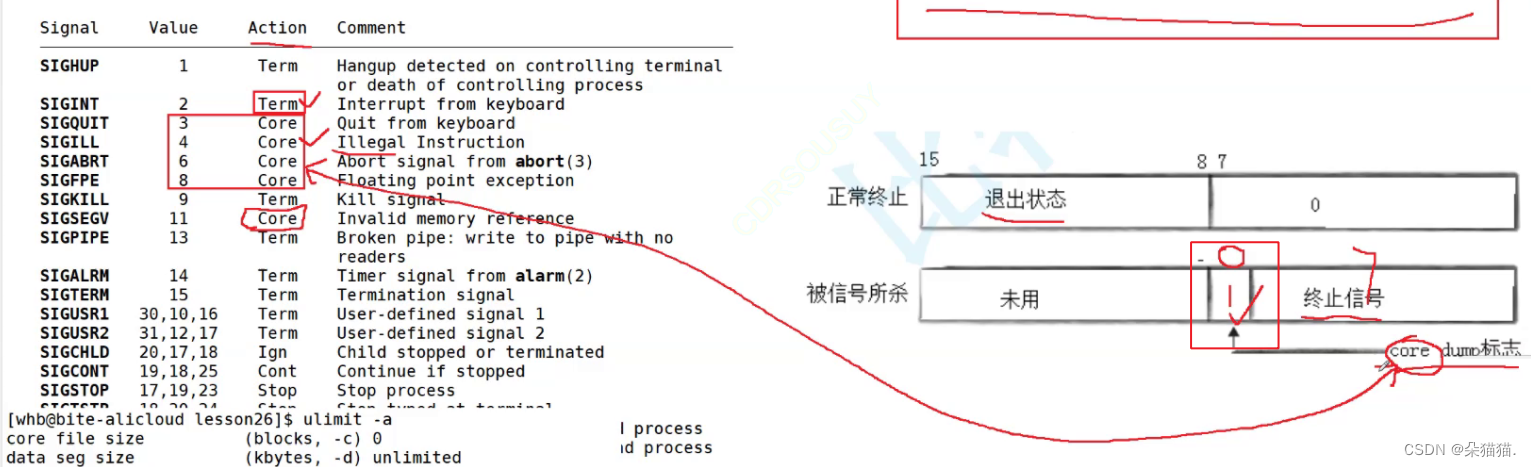 【Linux】信号的保存插图(14)