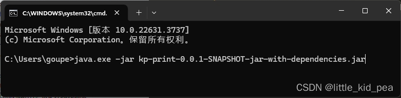 windows环境如何运行python/java后台服务器进程而不显示控制台窗口插图