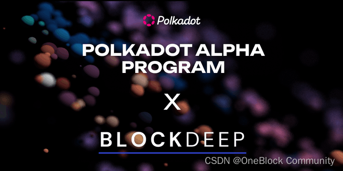 波卡近期活动一览｜ Polkadot Decoded 2024 重磅来袭，300 万 DOT 将用于 DeFi 增长插图(8)