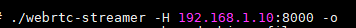 史上最详细的webrtc-streamer访问摄像机视频流教程插图(5)