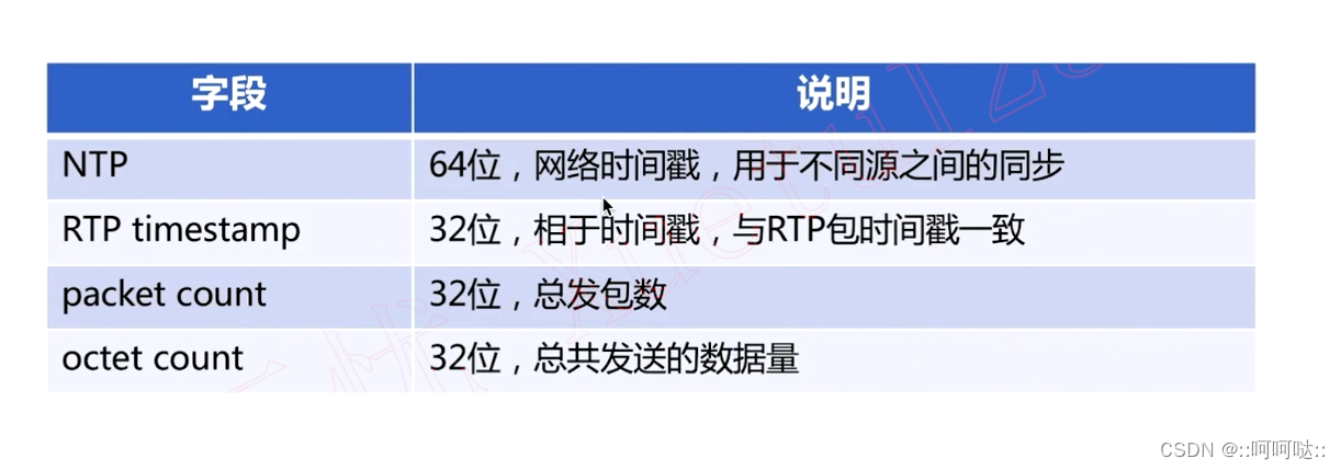 14. RTCP 协议插图(3)