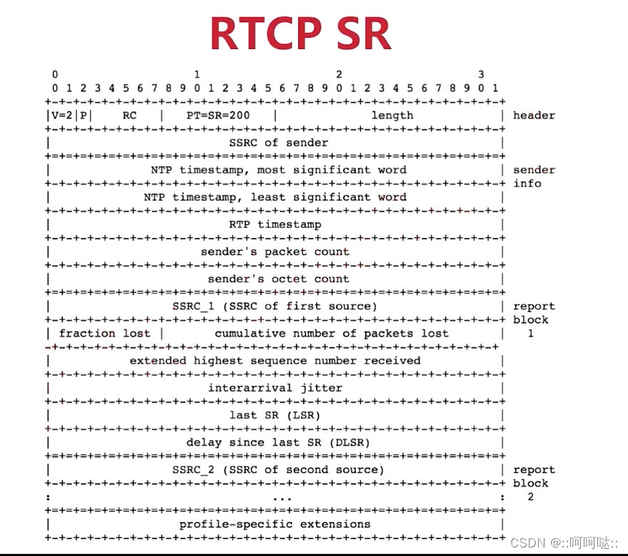 14. RTCP 协议插图(2)