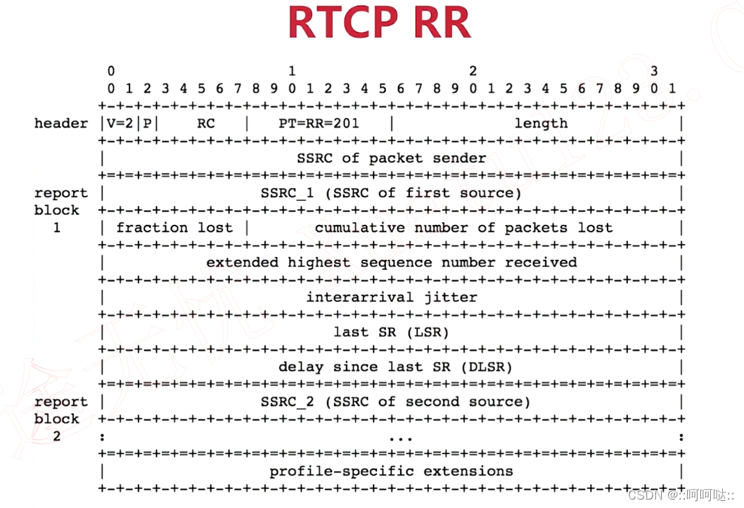 14. RTCP 协议插图(6)