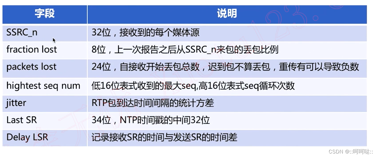 14. RTCP 协议插图(5)