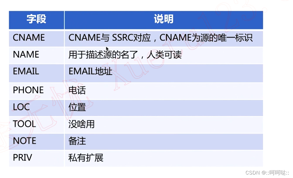 14. RTCP 协议插图(8)