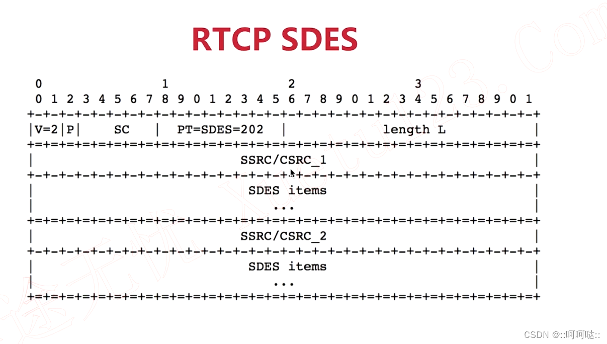 14. RTCP 协议插图(7)