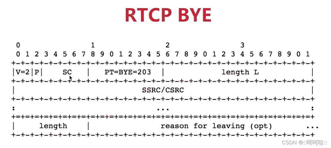 14. RTCP 协议插图(10)