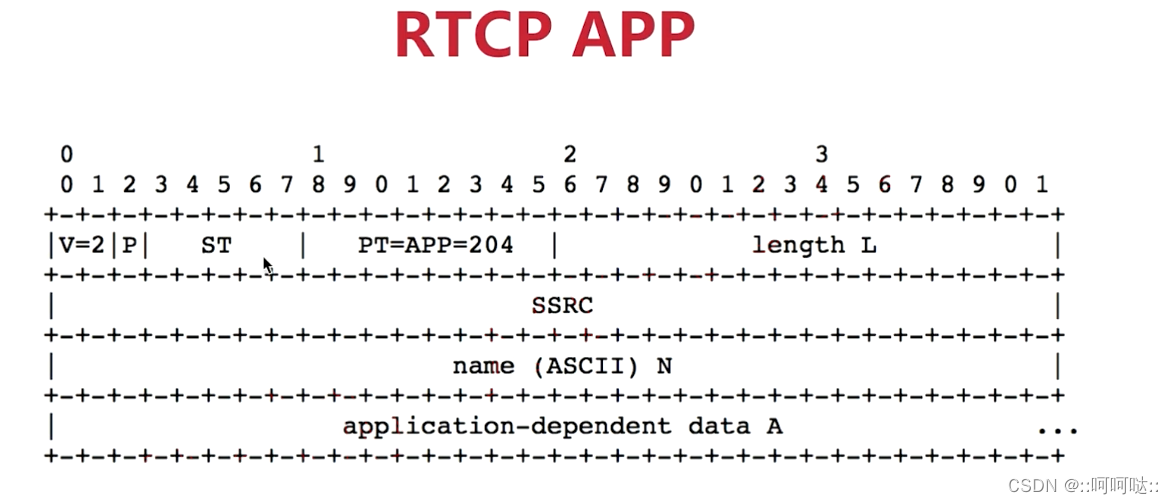 14. RTCP 协议插图(11)