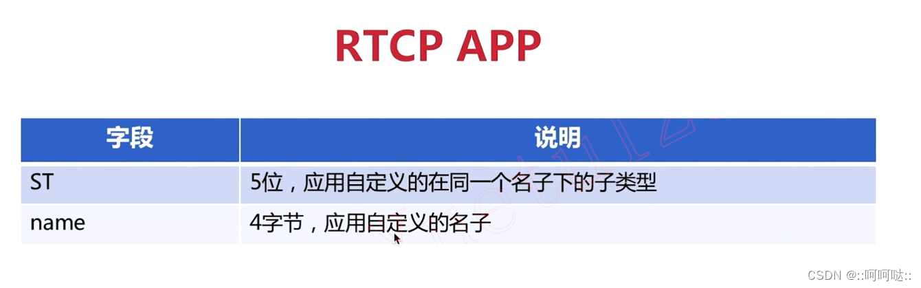 14. RTCP 协议插图(12)