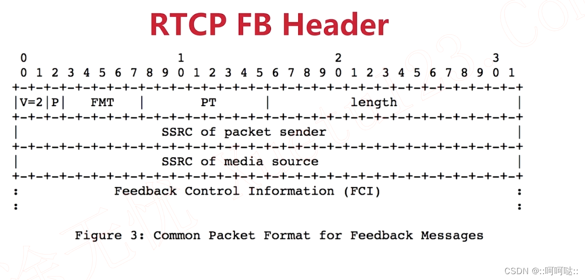 14. RTCP 协议插图(13)
