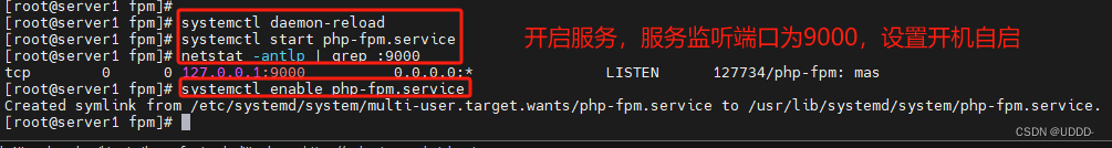 企业化运维(3)_PHP、nginx结合php-fpm、memcache、openresty、goaccess日志可视化插图(13)