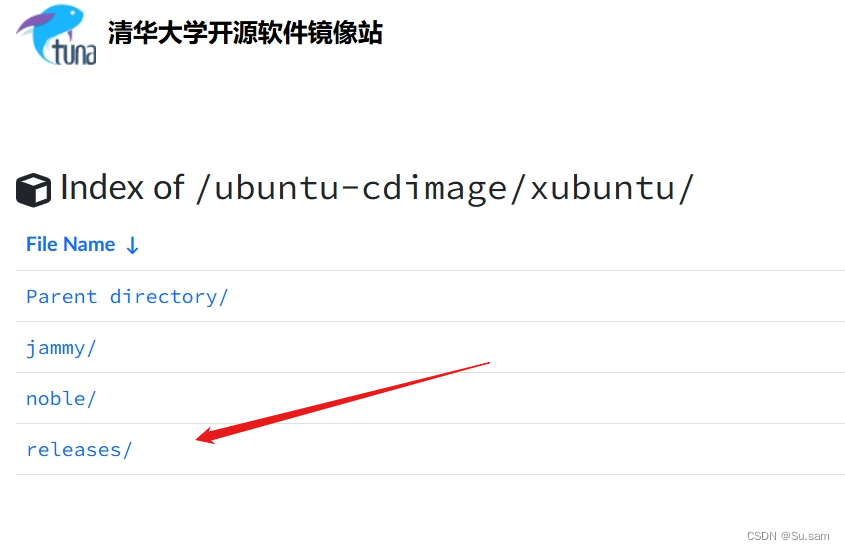 老旧机子装linux——Xubuntu插图(1)