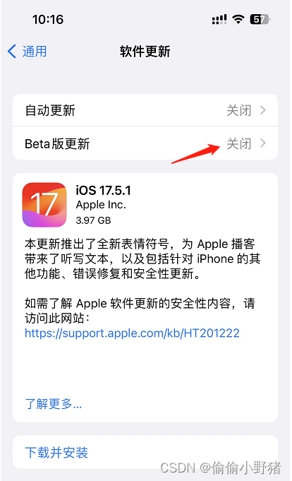 如何更新 iOS 18 Beta 版本？具体步骤总结插图(6)