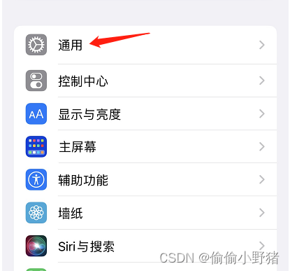 如何更新 iOS 18 Beta 版本？具体步骤总结插图(4)