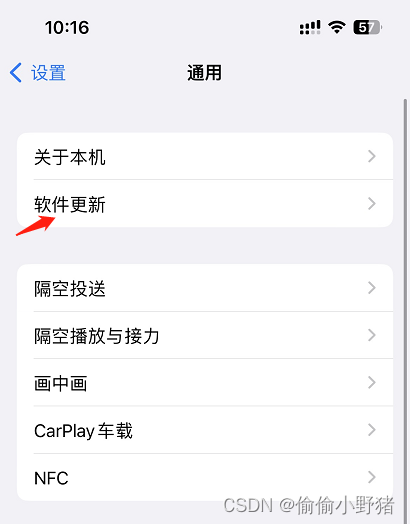 如何更新 iOS 18 Beta 版本？具体步骤总结插图(5)