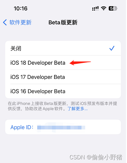 如何更新 iOS 18 Beta 版本？具体步骤总结插图(7)