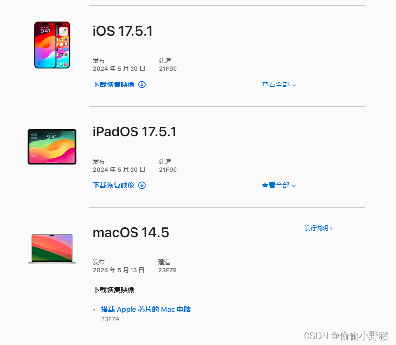 如何更新 iOS 18 Beta 版本？具体步骤总结插图(10)