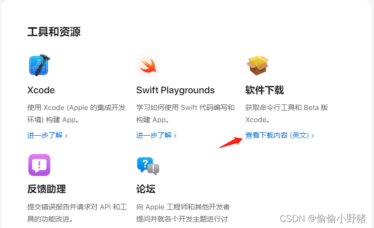 如何更新 iOS 18 Beta 版本？具体步骤总结插图(9)