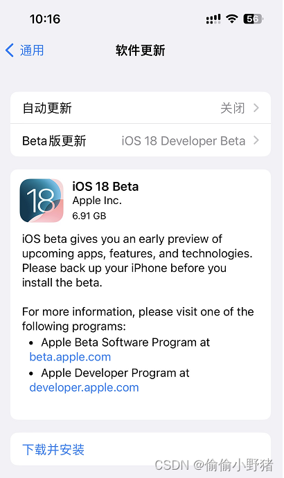 如何更新 iOS 18 Beta 版本？具体步骤总结插图(8)