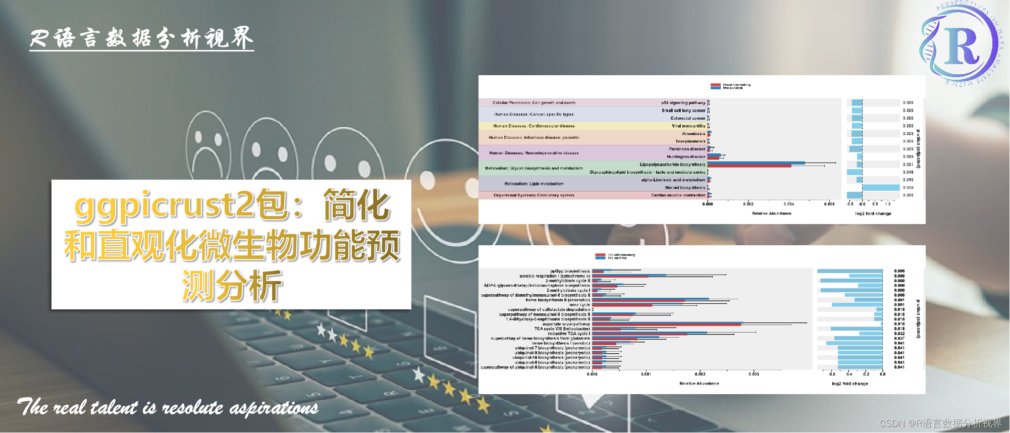 ggpicrust2包：简化和直观化微生物功能预测分析插图