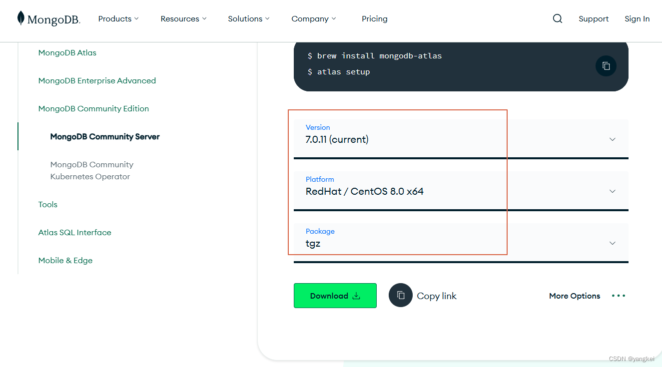 mongodb 集群安装插图