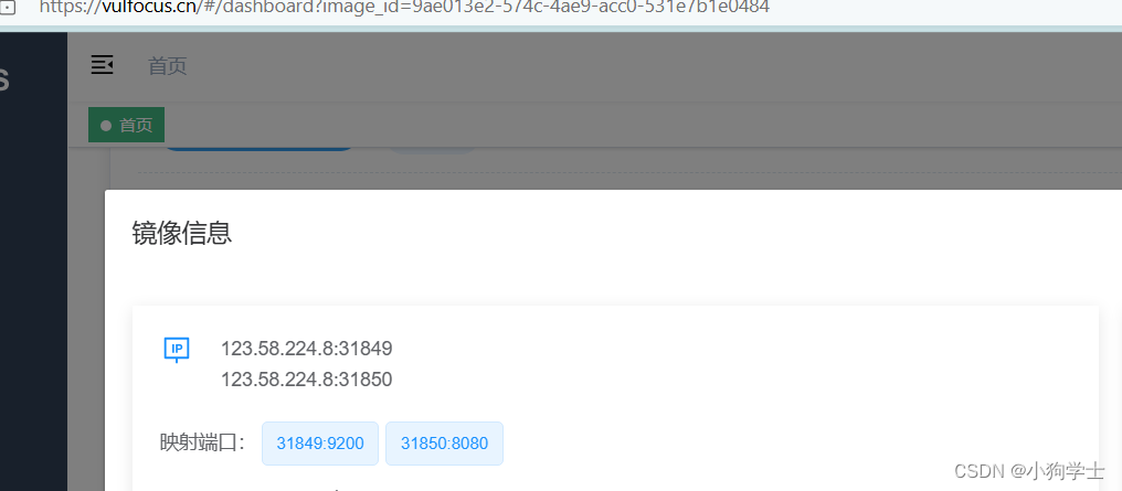 wooyun_2015_110216-Elasticsearch-vulfocus插图