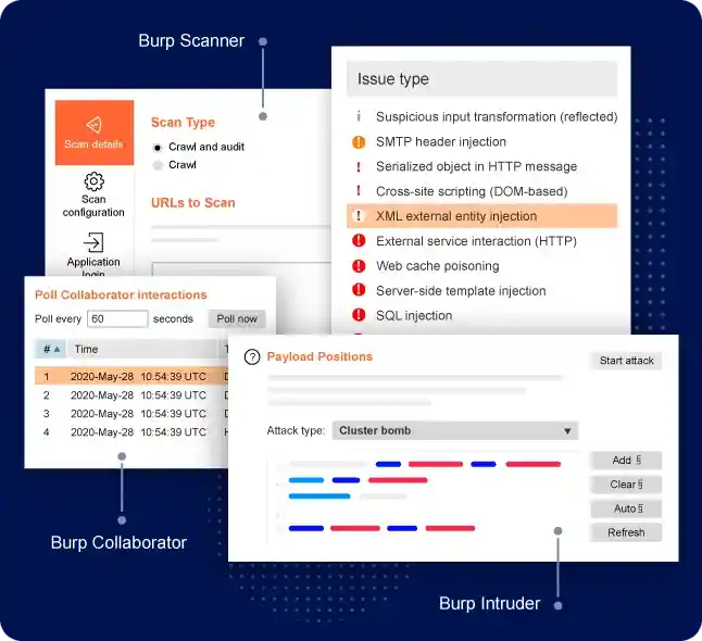 Burp Suite Professional 2024.5 (macOS, Linux, Windows) – Web 应用安全、测试和扫描插图(1)