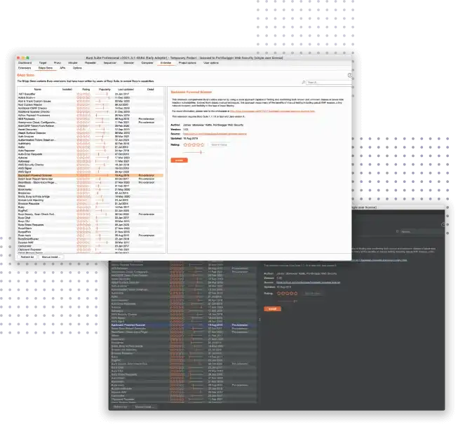 Burp Suite Professional 2024.5 (macOS, Linux, Windows) – Web 应用安全、测试和扫描插图(4)