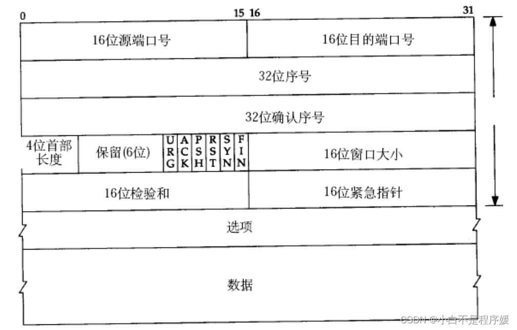 【Linux系统化学习】传输层——TCP协议插图