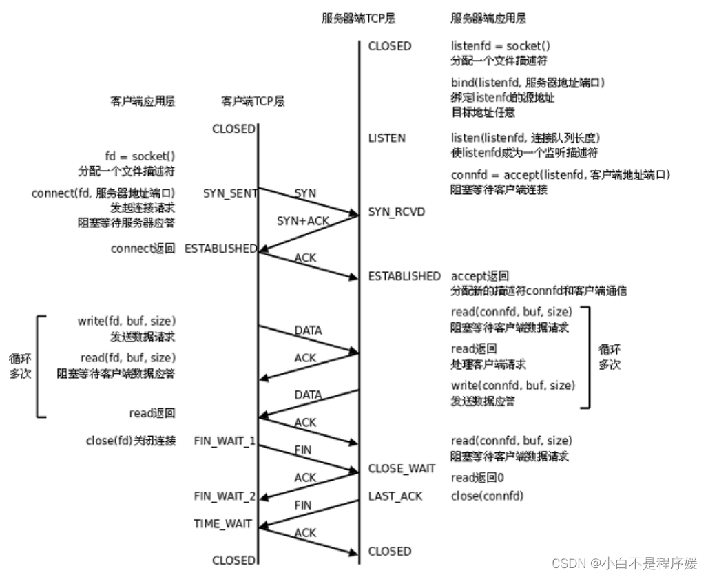 【Linux系统化学习】传输层——TCP协议插图(6)