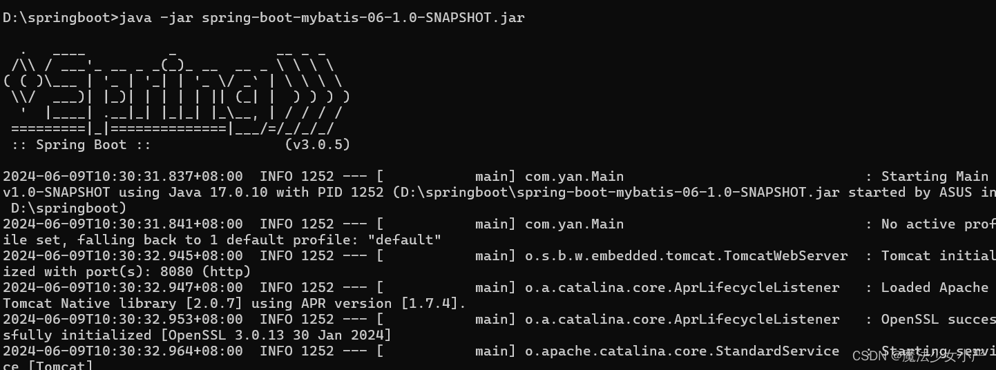 SpringBoot3学习总结插图(9)