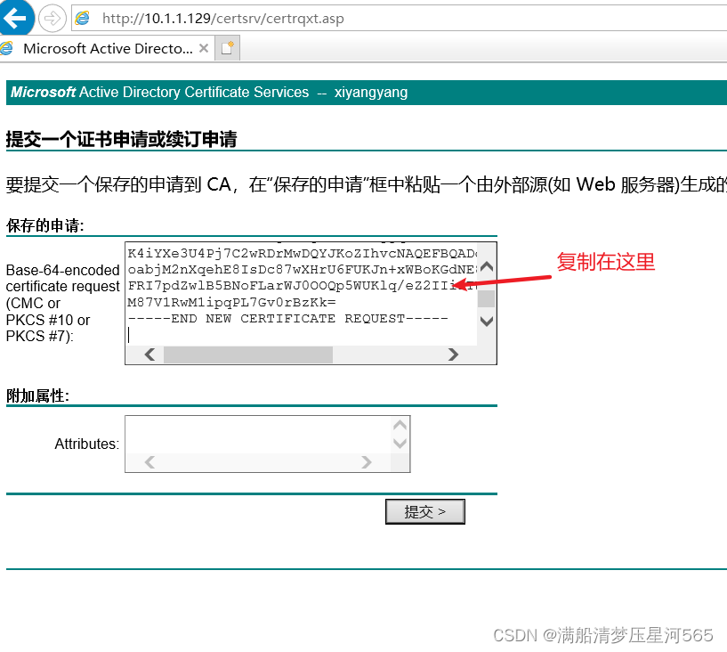 CA服务器的搭建及web证书申请插图(13)