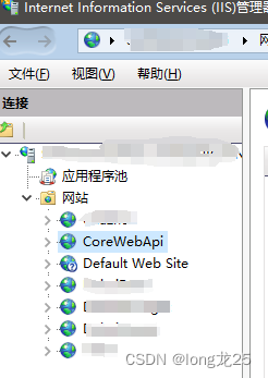 IIS上部署Asp.net core Webapi插图(19)