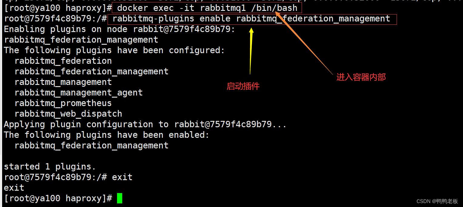 Java17 — RabbitMQ之插件使用插图(1)