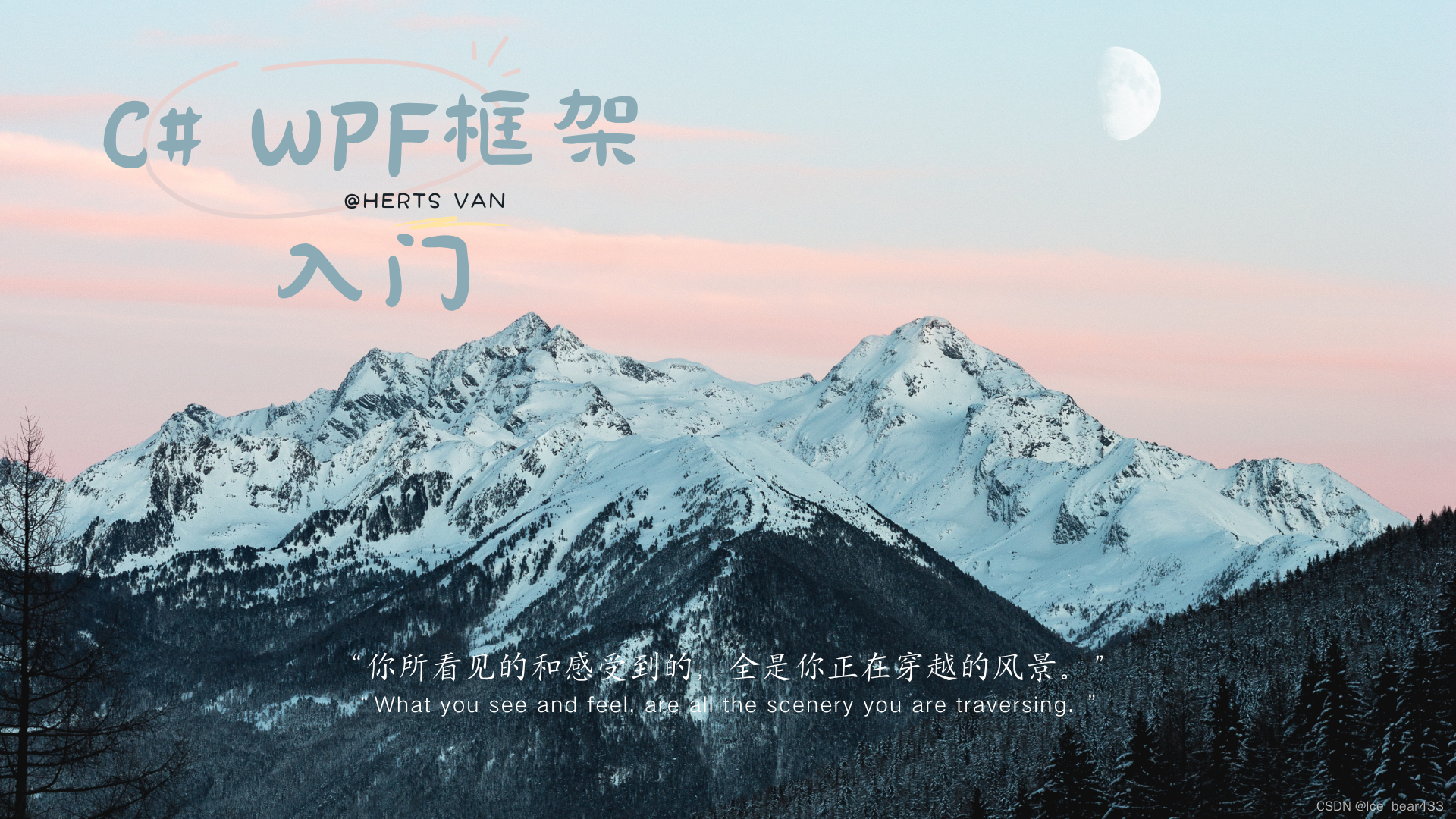 C# WPF入门学习主线篇（二十三）—— 控件模板（ControlTemplate）和数据模板（DataTemplate）插图