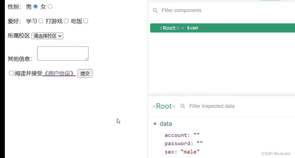 Vue22-v-model收集表单数据插图(3)