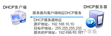 02 DHCP原理与配置插图(2)