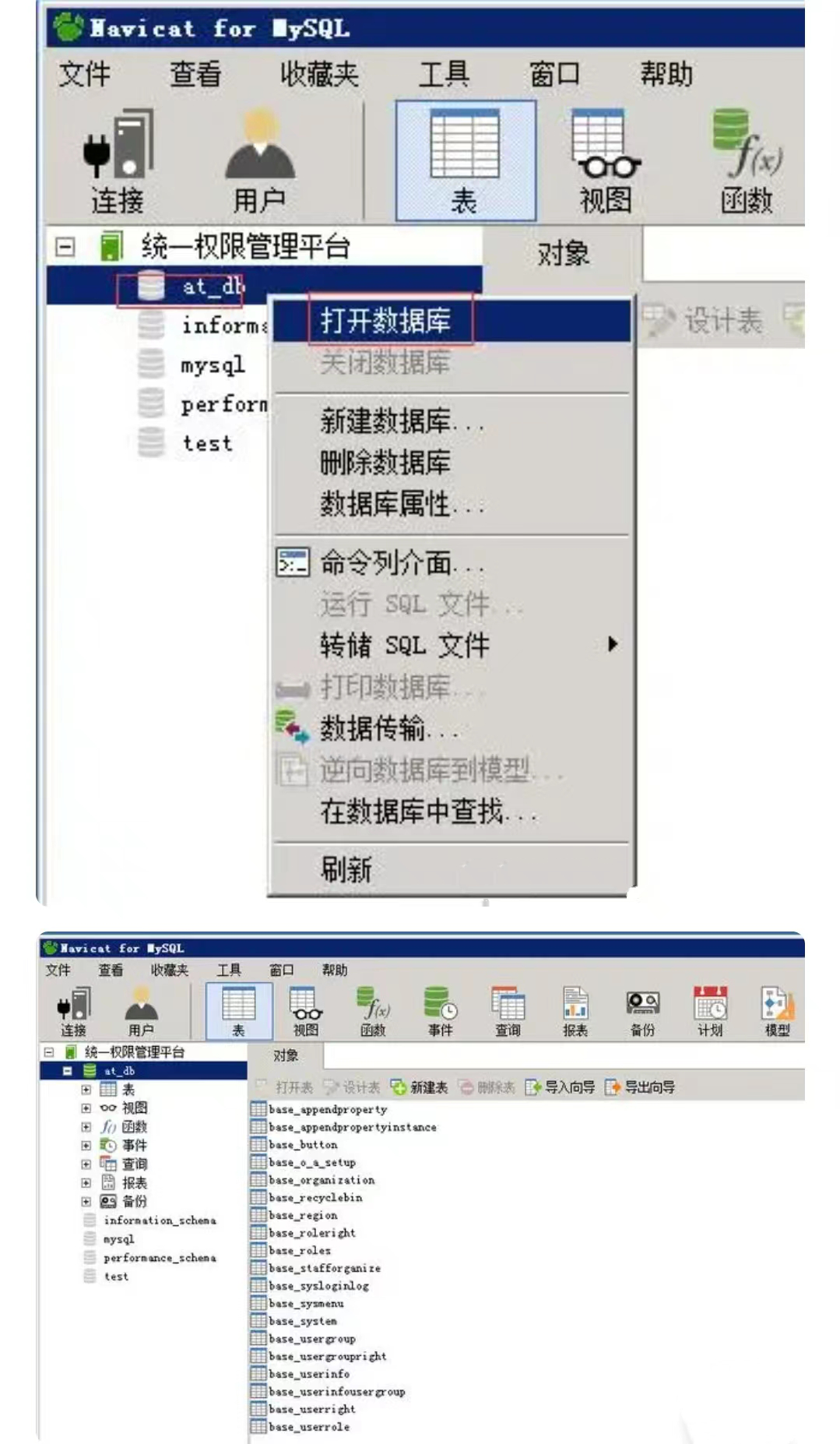 Navicat for MySQL 11软件下载及安装教程插图(13)